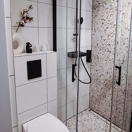 Lion - Platinium Apartament Kraków