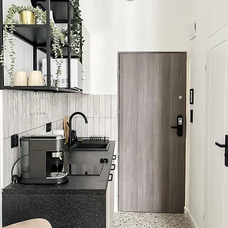 Lion - Platinium Apartament Kraków