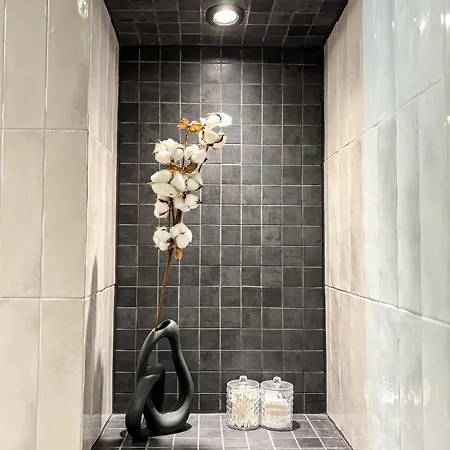 Apartament Lion - Platinium Kraków